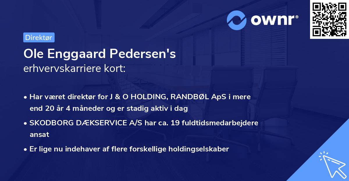 Ole Enggaard Pedersen's erhvervskarriere kort