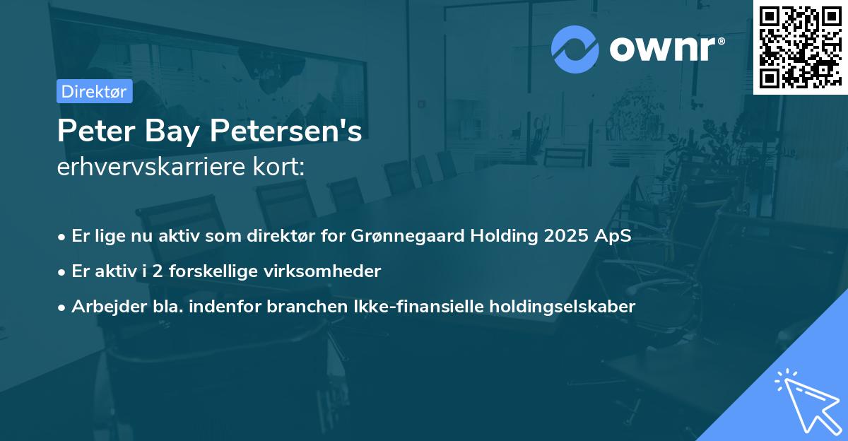 Peter Bay Petersen's erhvervskarriere kort