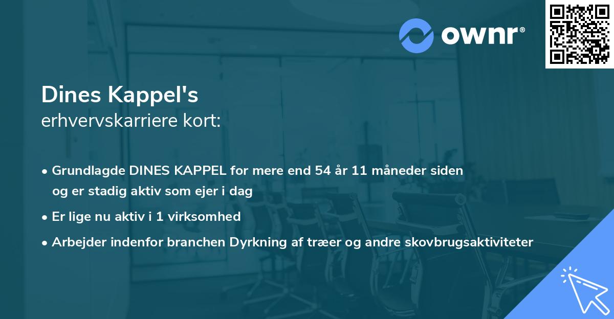 Dines Kappel's erhvervskarriere kort