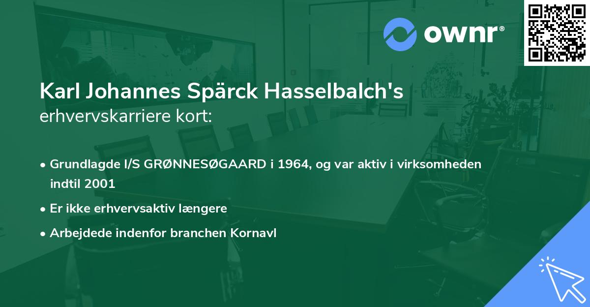 Karl Johannes Spärck Hasselbalch's erhvervskarriere kort