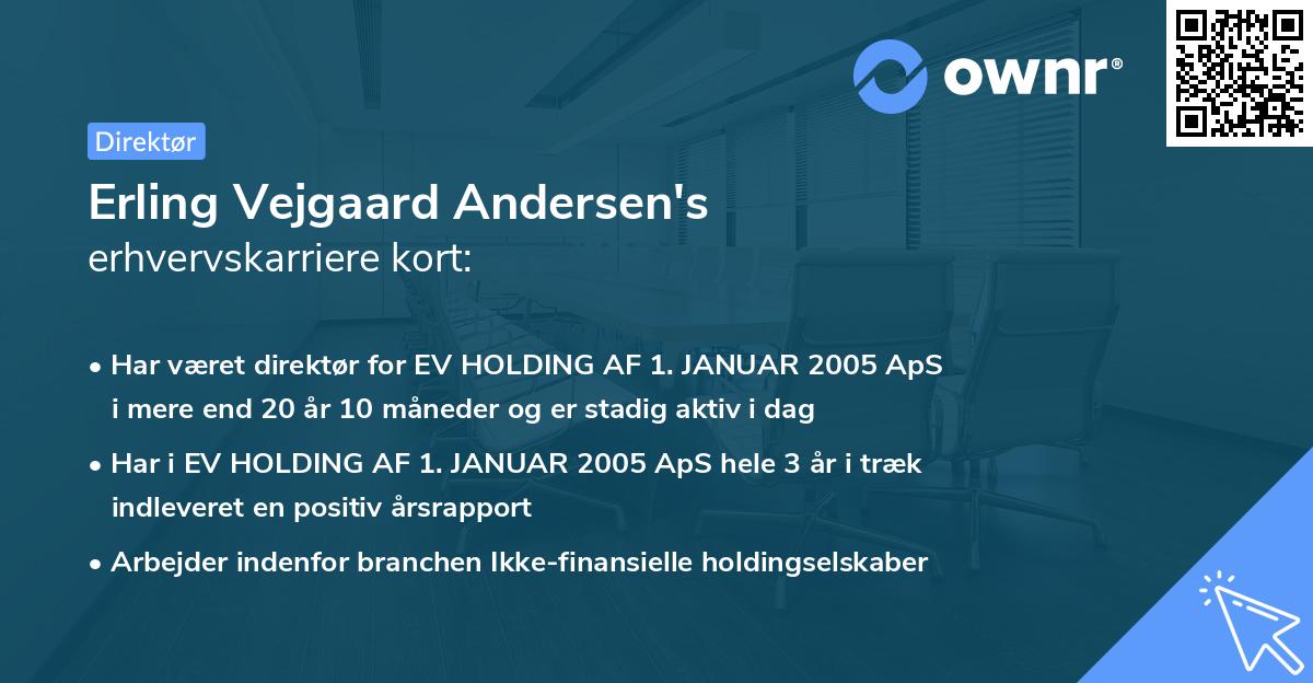 Erling Vejgaard Andersen's erhvervskarriere kort
