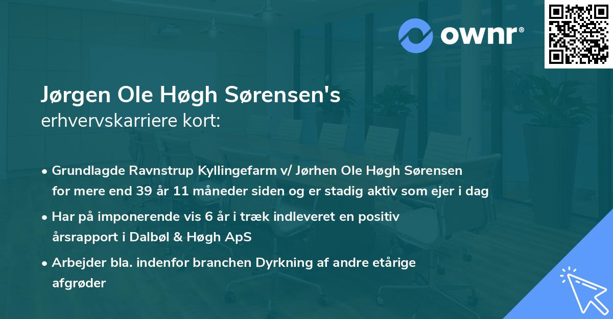 Jørgen Ole Høgh Sørensen's erhvervskarriere kort