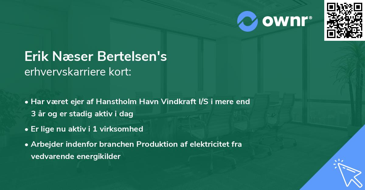 Erik Næser Bertelsen's erhvervskarriere kort