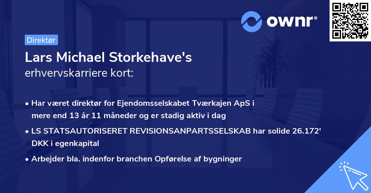 Lars Michael Storkehave's erhvervskarriere kort