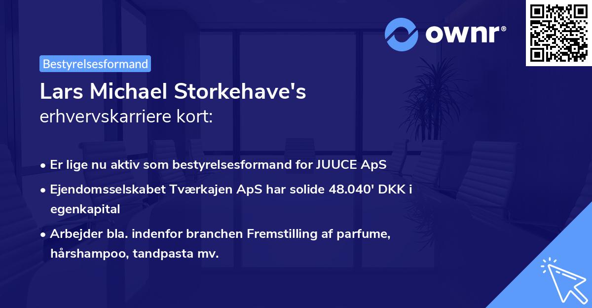 Lars Michael Storkehave's erhvervskarriere kort