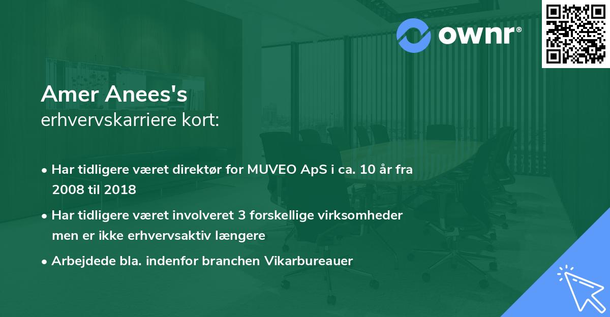 Amer Anees's erhvervskarriere kort