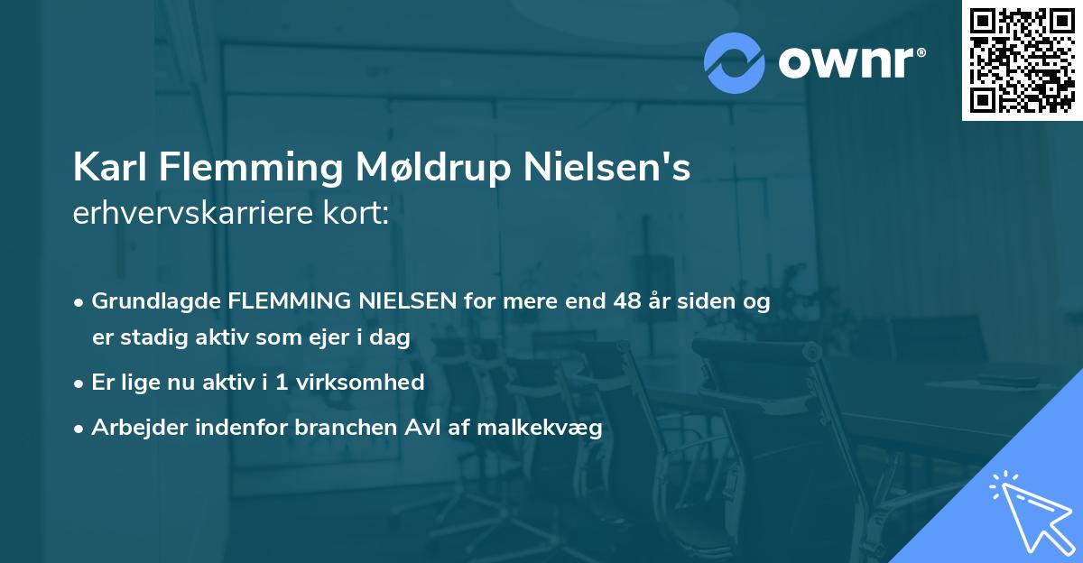 Karl Flemming Møldrup Nielsen's erhvervskarriere kort