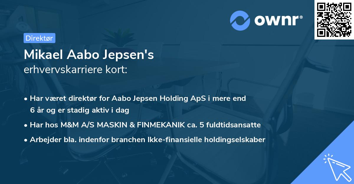 Mikael Aabo Jepsen's erhvervskarriere kort