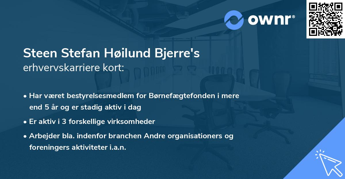 Steen Stefan Høilund Bjerre's erhvervskarriere kort
