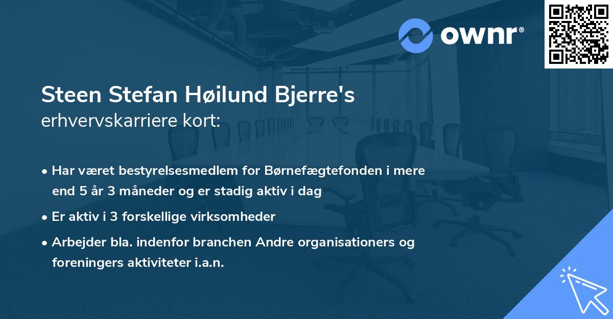 Steen Stefan Høilund Bjerre's erhvervskarriere kort