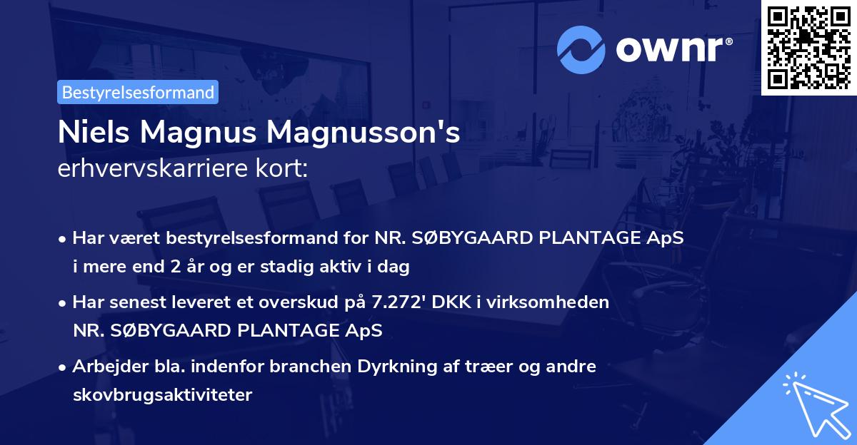 Niels Magnus Magnusson's erhvervskarriere kort