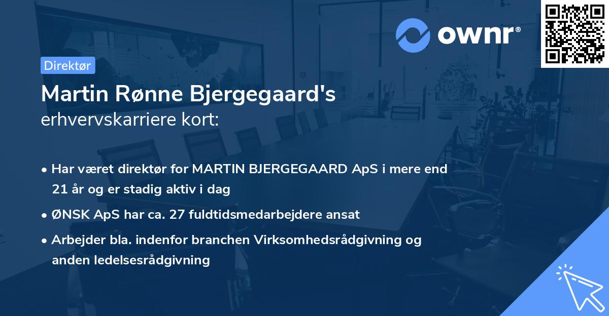 Martin Rønne Bjergegaard's erhvervskarriere kort