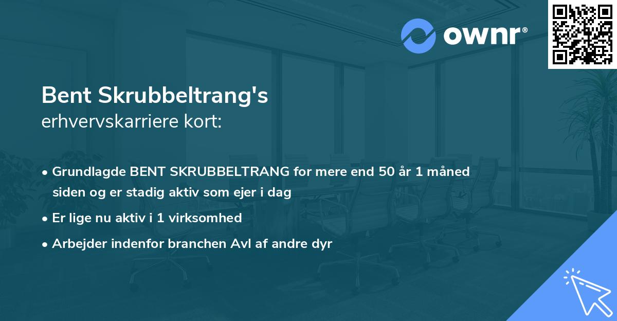 Bent Skrubbeltrang's erhvervskarriere kort