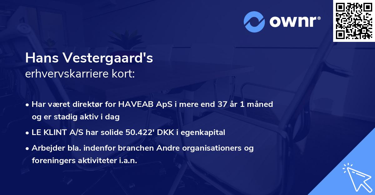 Hans Vestergaard's erhvervskarriere kort