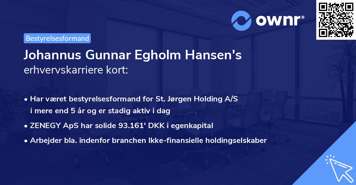 Johannus Gunnar Egholm Hansen's erhvervskarriere kort