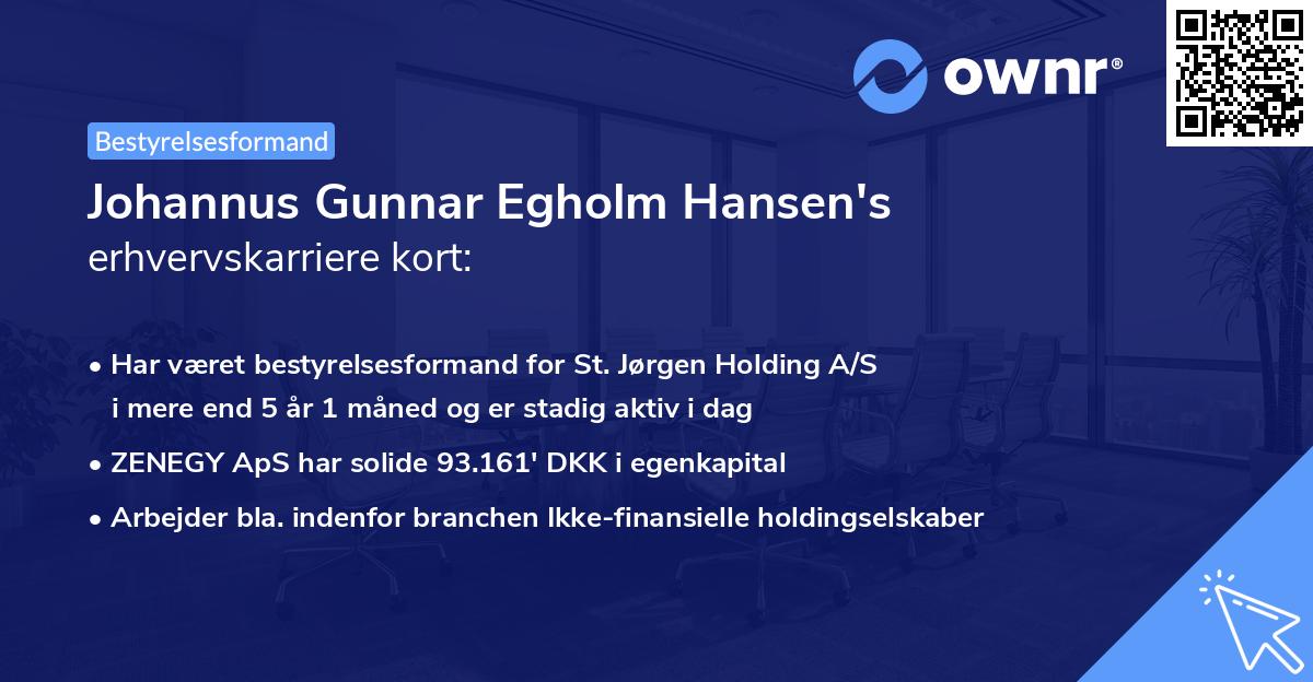 Johannus Gunnar Egholm Hansen's erhvervskarriere kort