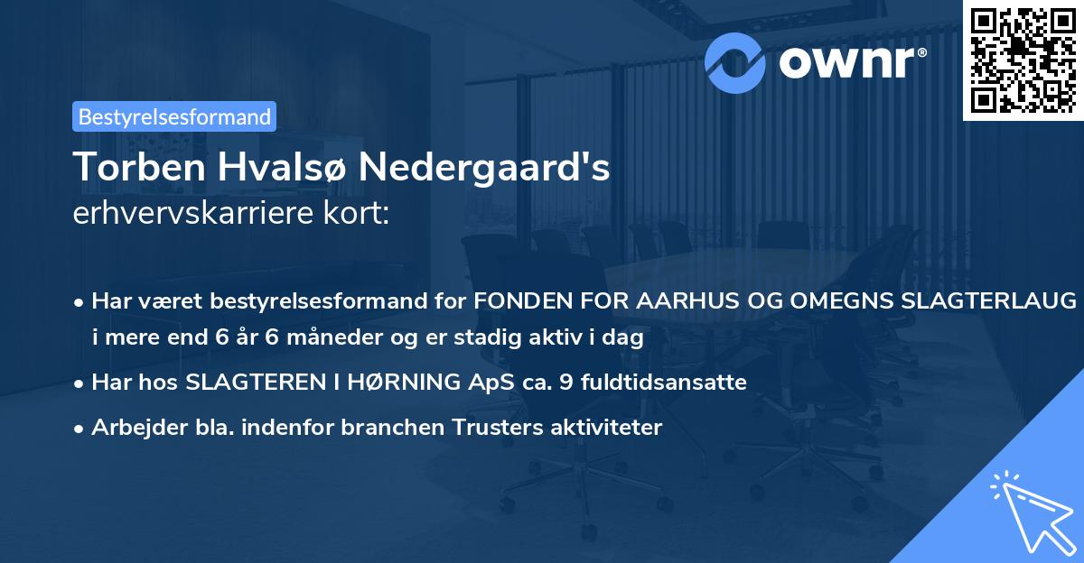Torben Hvalsø Nedergaard's erhvervskarriere kort