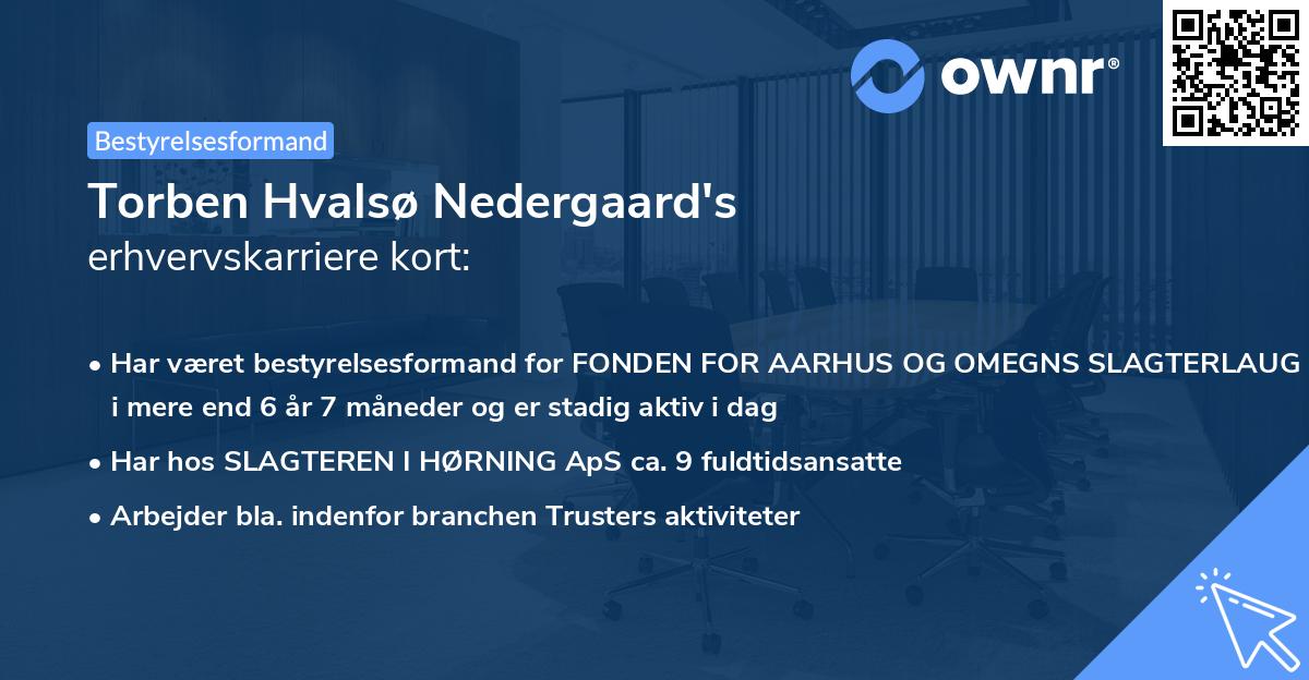 Torben Hvalsø Nedergaard's erhvervskarriere kort