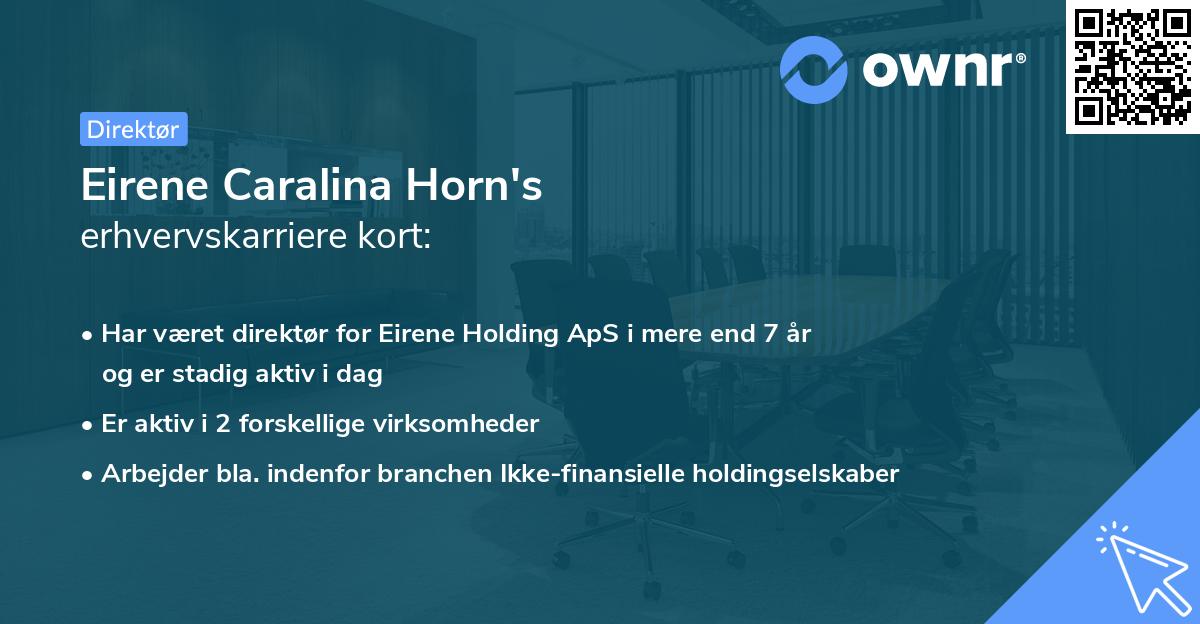 Eirene Caralina Horn's erhvervskarriere kort