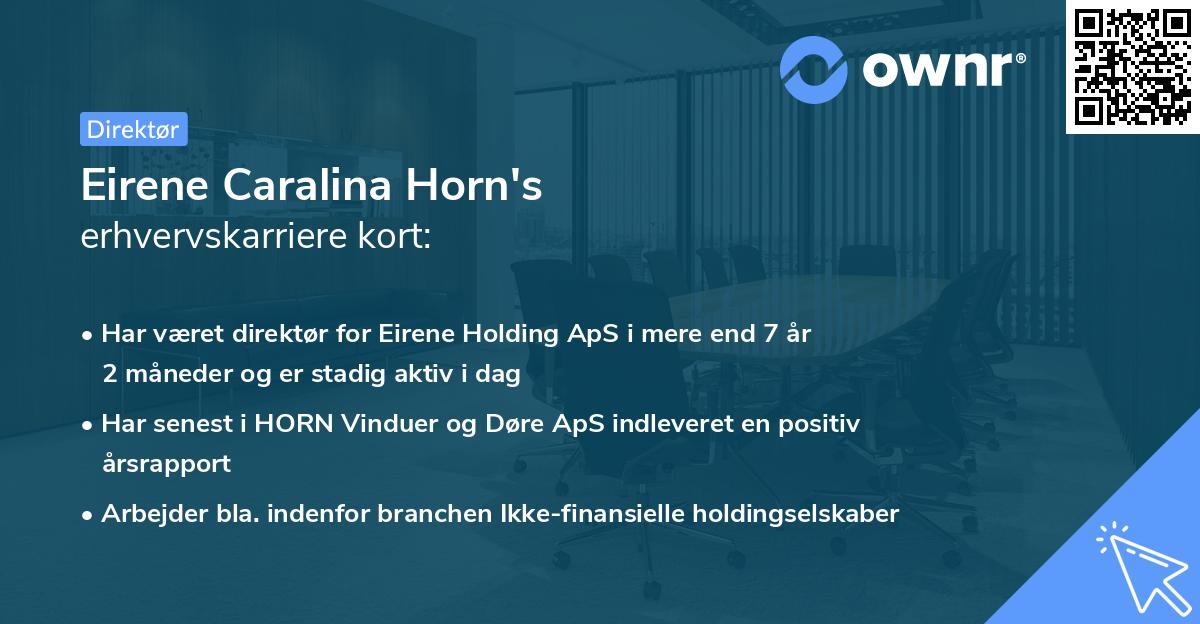 Eirene Caralina Horn's erhvervskarriere kort