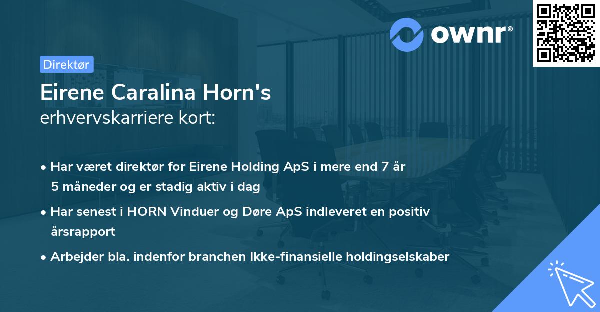 Eirene Caralina Horn's erhvervskarriere kort