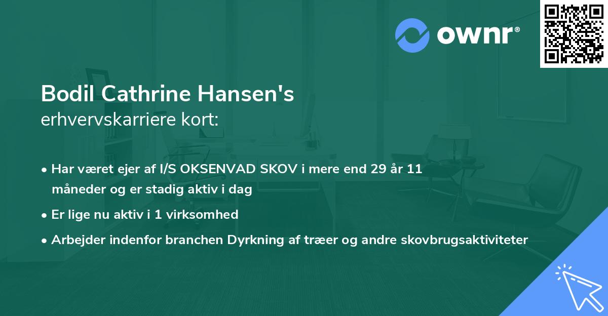 Bodil Cathrine Hansen's erhvervskarriere kort