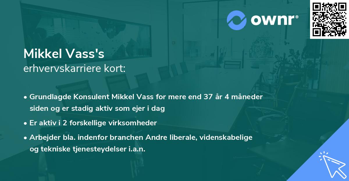 Mikkel Vass's erhvervskarriere kort