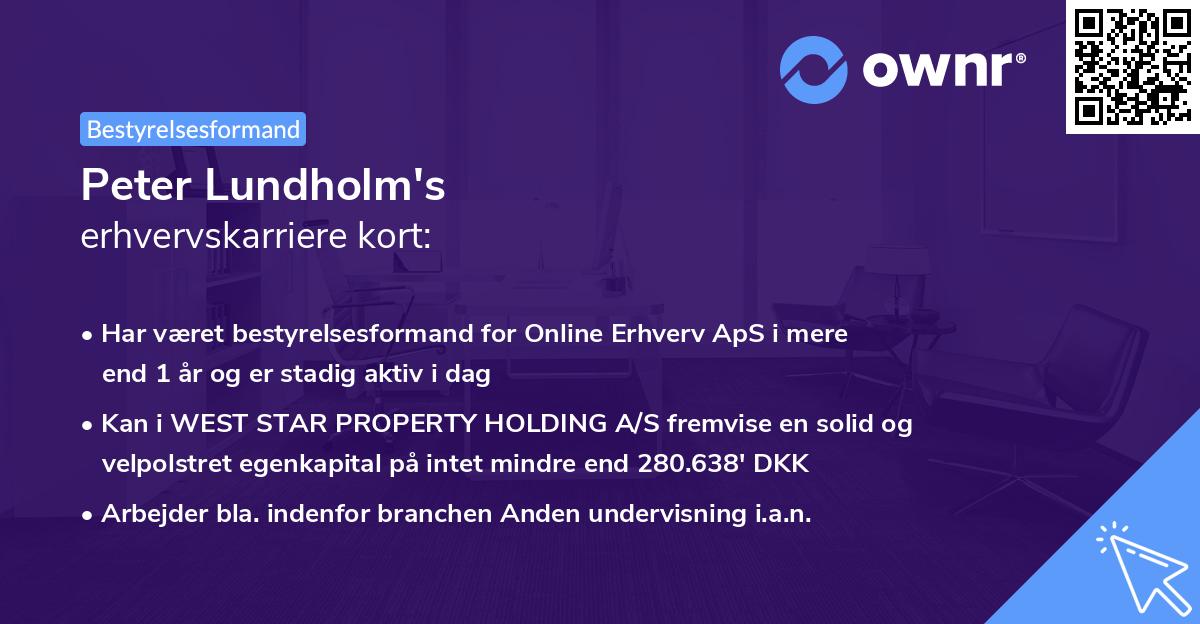 Peter Lundholm's erhvervskarriere kort