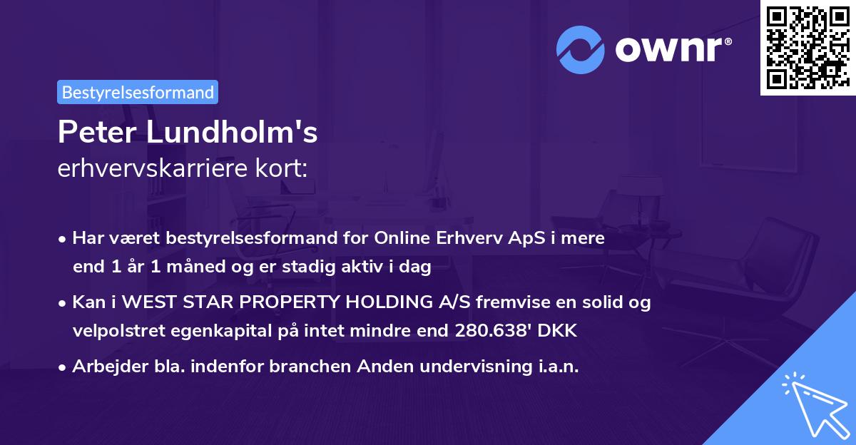 Peter Lundholm's erhvervskarriere kort