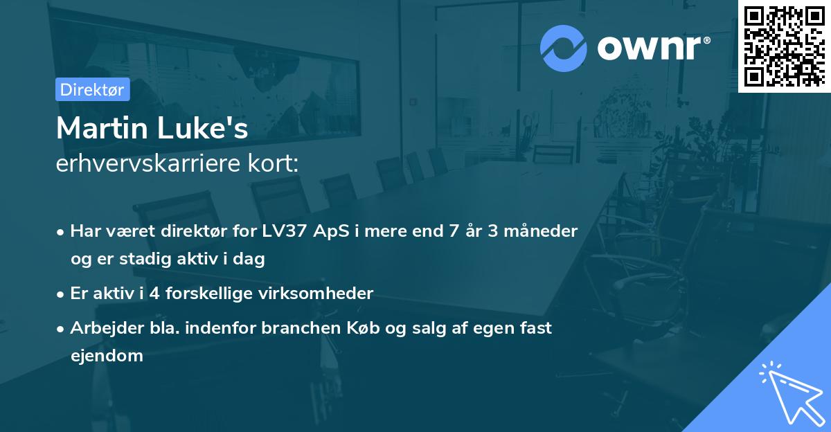 Martin Luke's erhvervskarriere kort