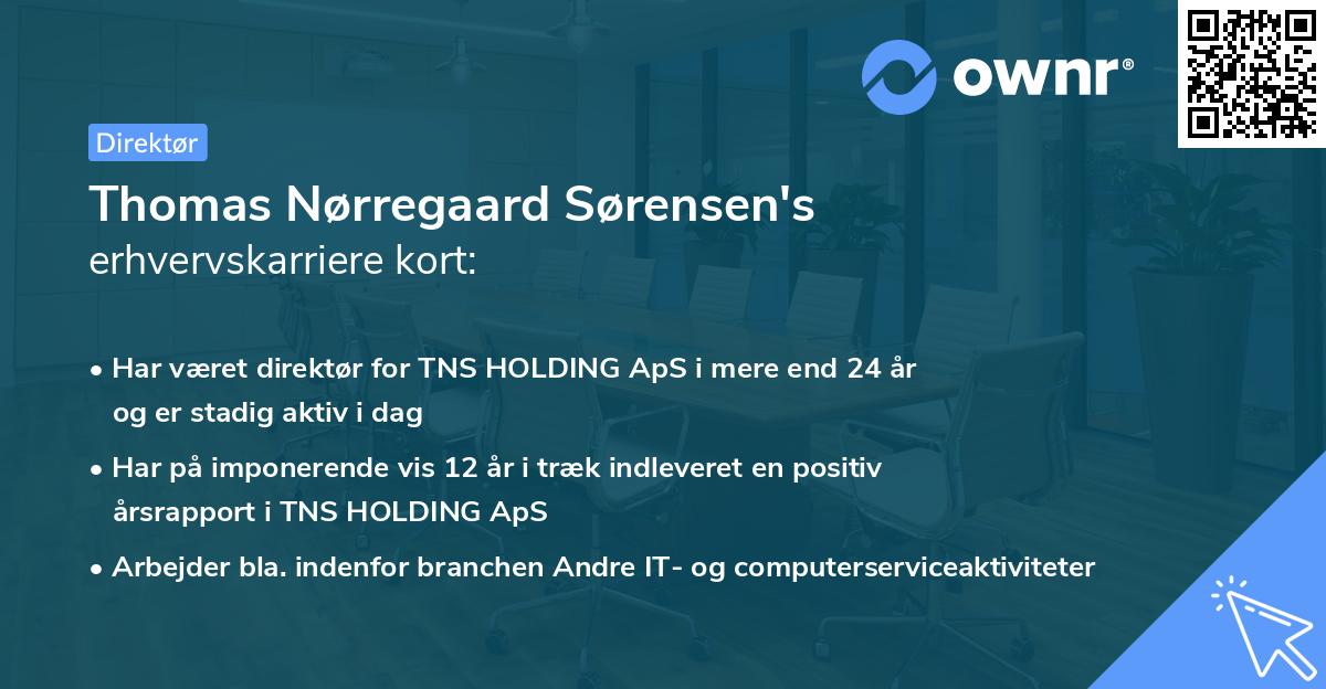 Thomas Nørregaard Sørensen's erhvervskarriere kort