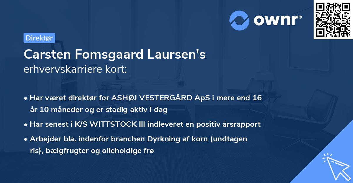 Carsten Fomsgaard Laursen's erhvervskarriere kort