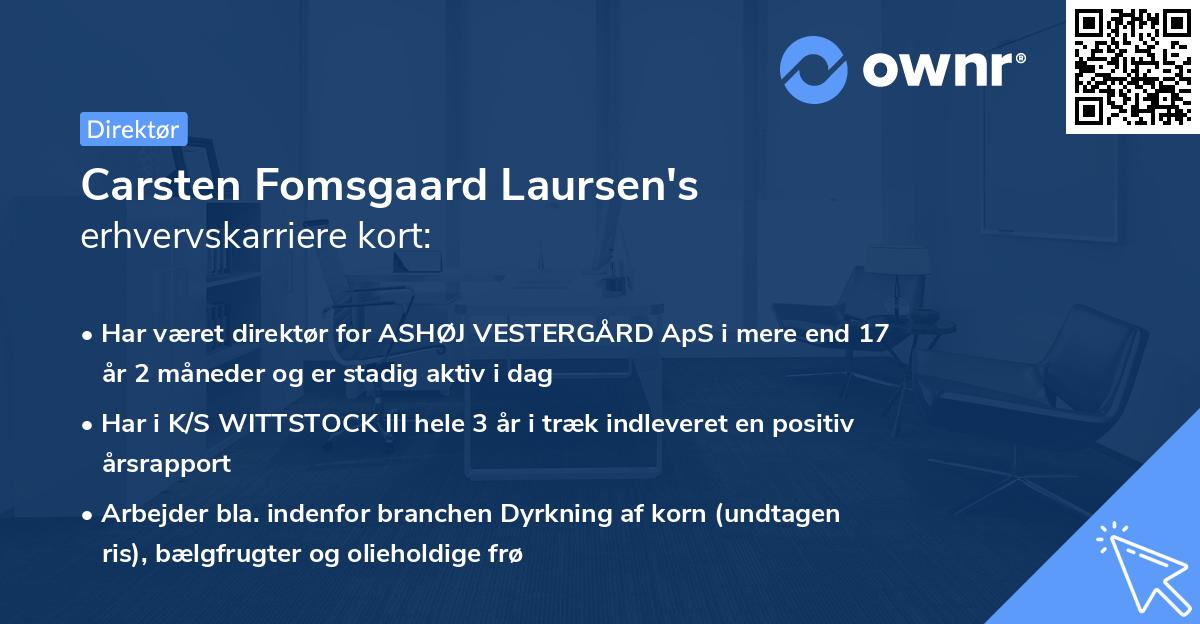 Carsten Fomsgaard Laursen's erhvervskarriere kort