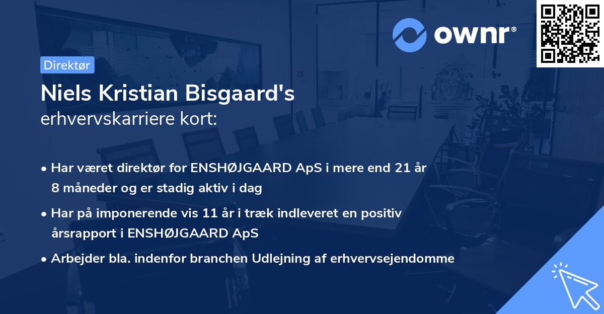 Niels Kristian Bisgaard's erhvervskarriere kort