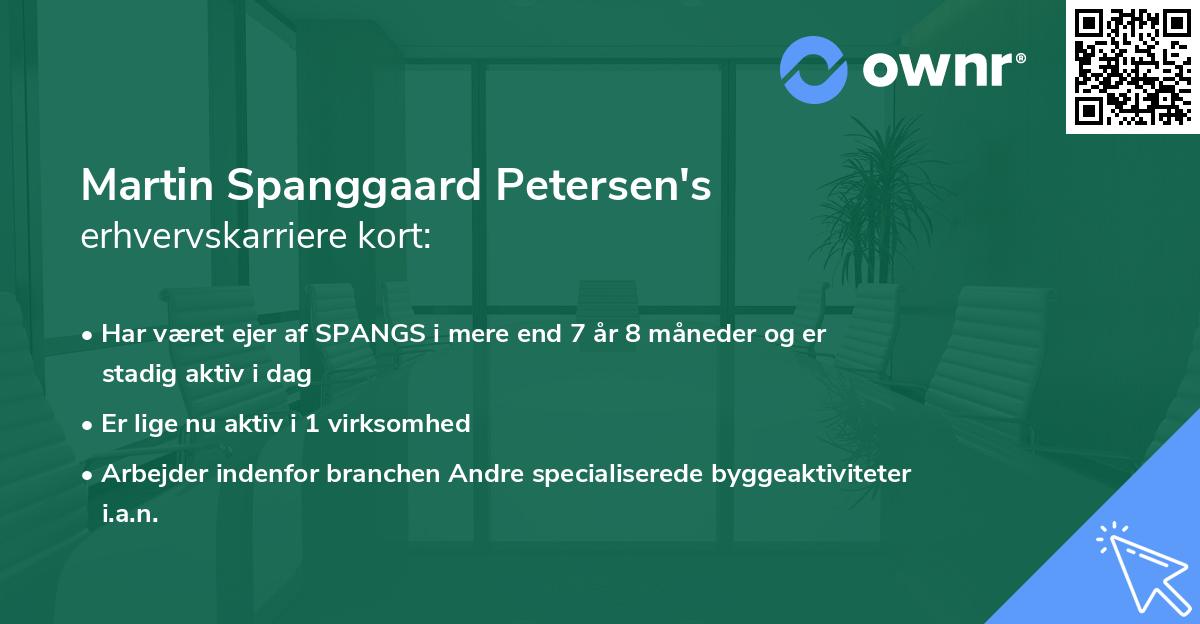 Martin Spanggaard Petersen's erhvervskarriere kort