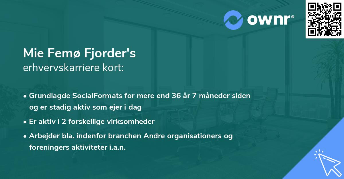 Mie Femø Fjorder's erhvervskarriere kort