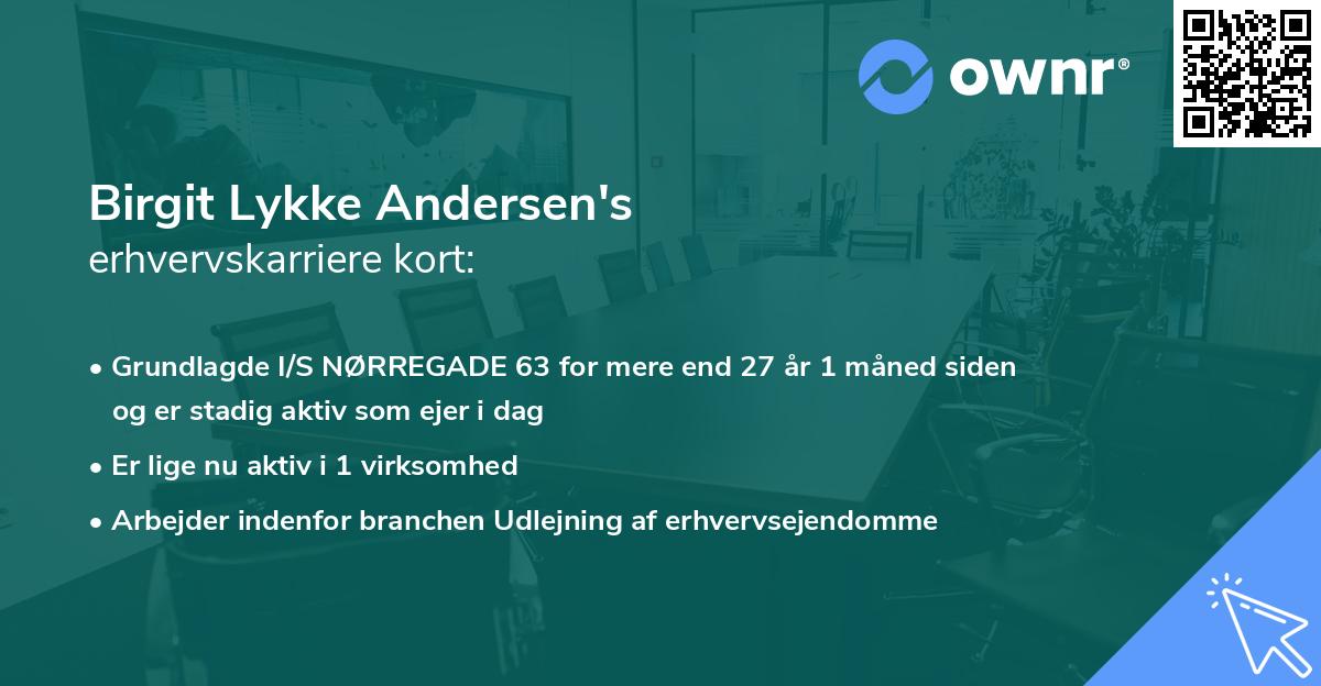 Birgit Lykke Andersen's erhvervskarriere kort