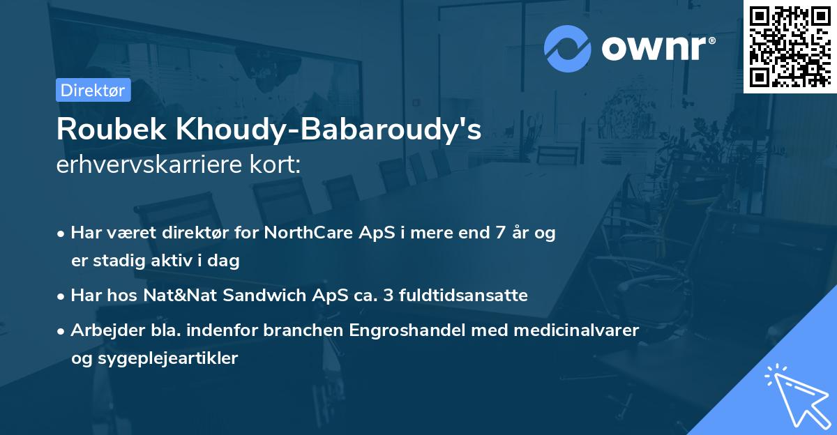 Roubek Khoudy-Babaroudy's erhvervskarriere kort