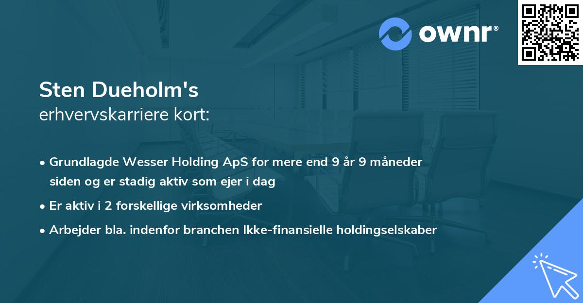 Sten Dueholm's erhvervskarriere kort