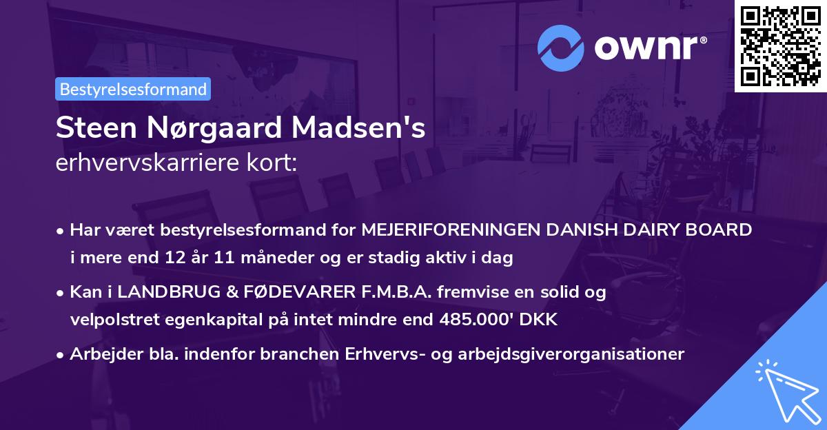 Steen Nørgaard Madsen's erhvervskarriere kort
