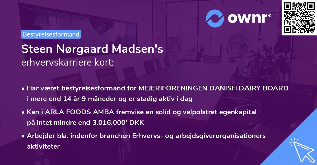 Steen Nørgaard Madsen's erhvervskarriere kort