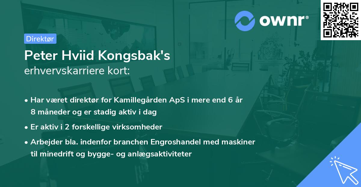 Peter Hviid Kongsbak's erhvervskarriere kort