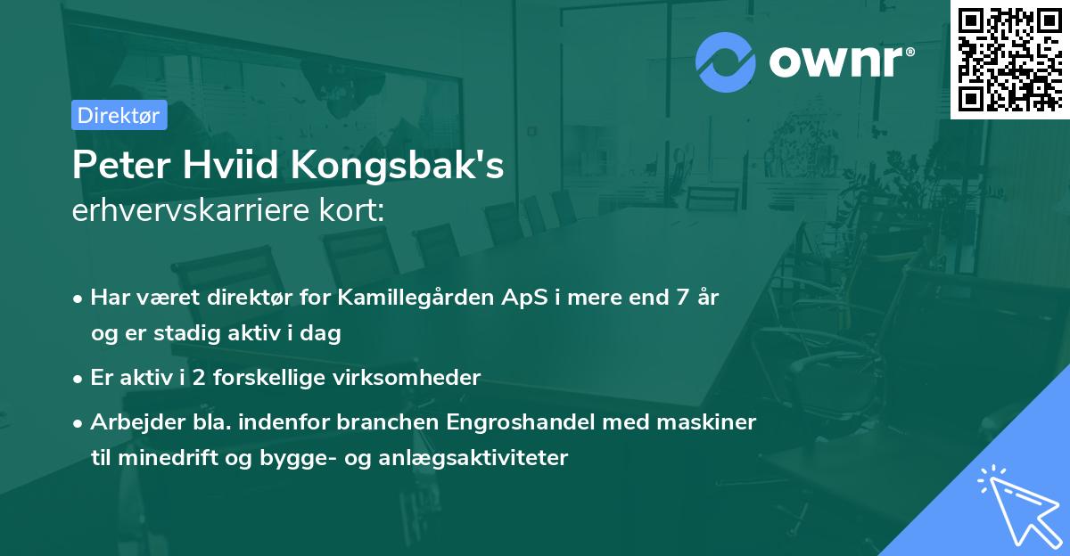 Peter Hviid Kongsbak's erhvervskarriere kort