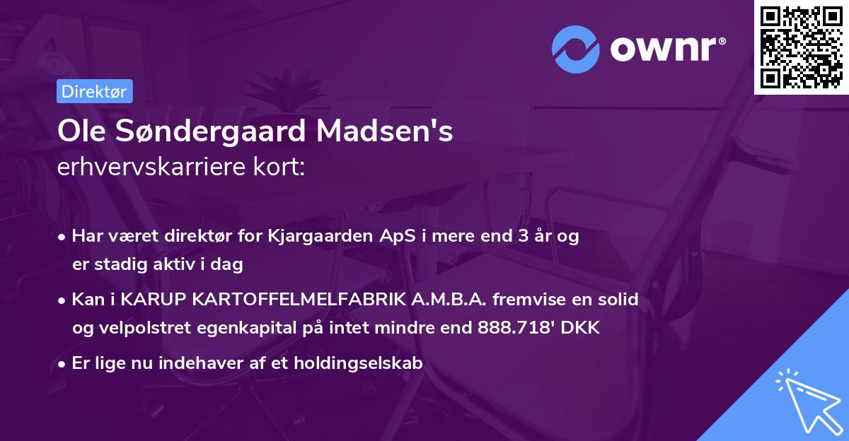 Ole Søndergaard Madsen's erhvervskarriere kort