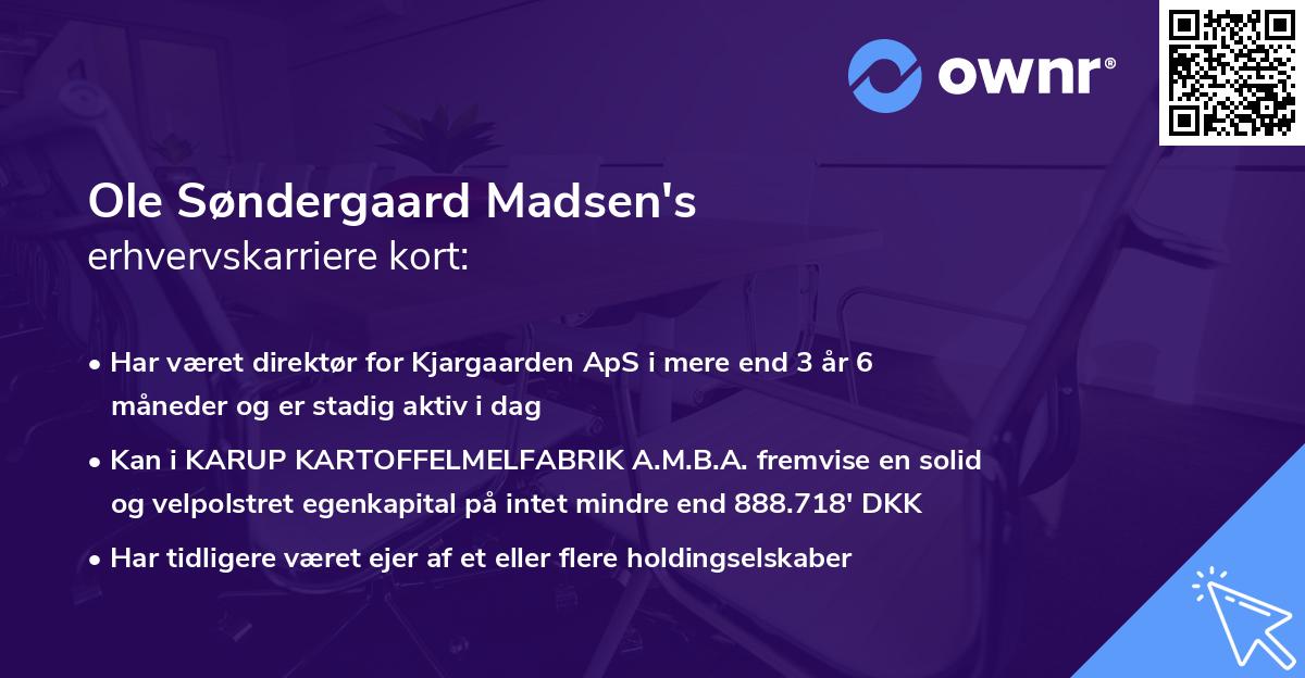 Ole Søndergaard Madsen's erhvervskarriere kort