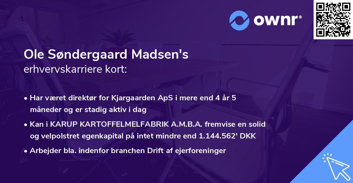 Ole Søndergaard Madsen's erhvervskarriere kort