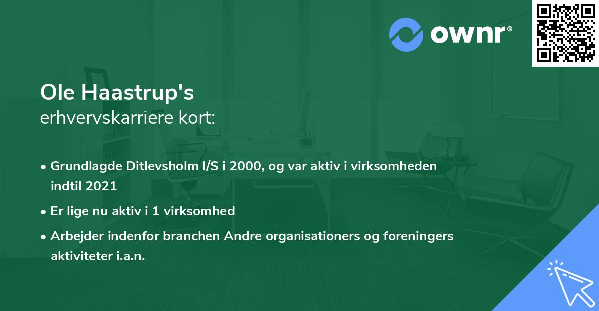 Ole Haastrup's erhvervskarriere kort