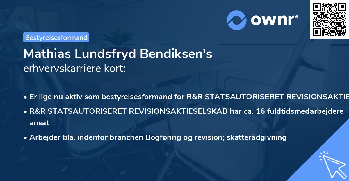 Mathias Lundsfryd Bendiksen's erhvervskarriere kort