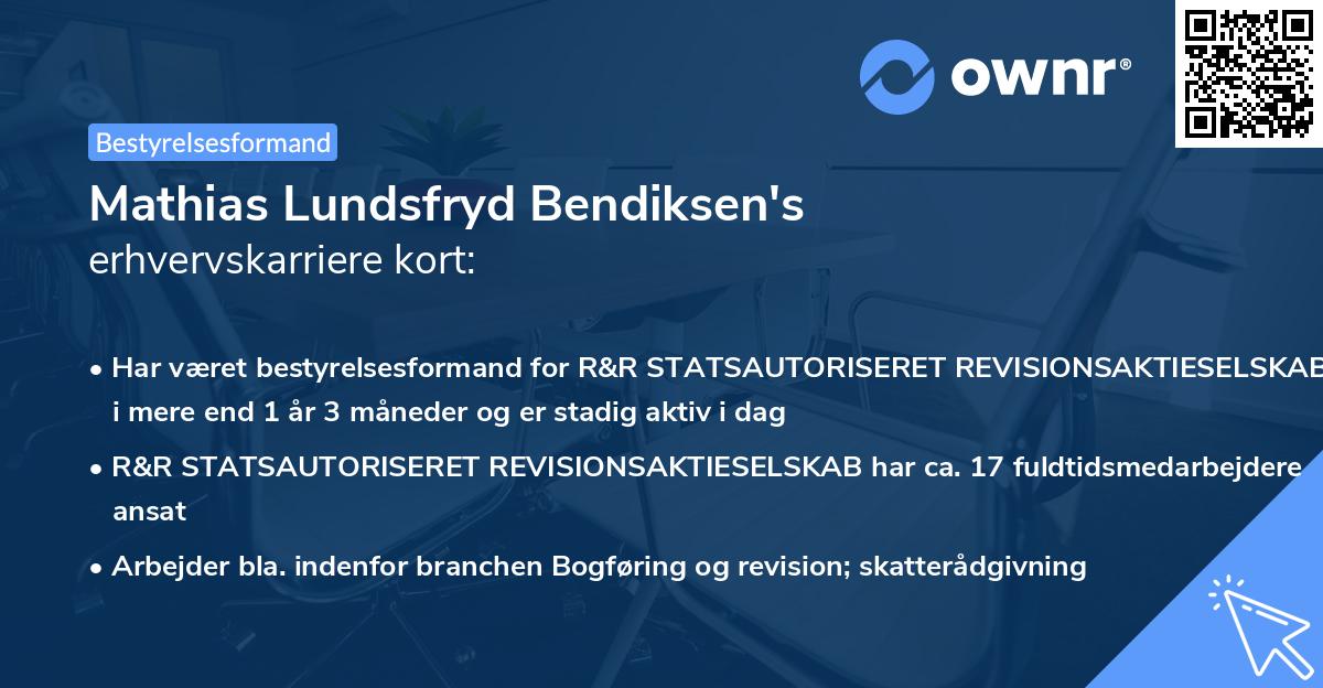 Mathias Lundsfryd Bendiksen's erhvervskarriere kort
