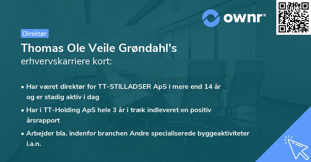 Thomas Ole Veile Grøndahl's erhvervskarriere kort
